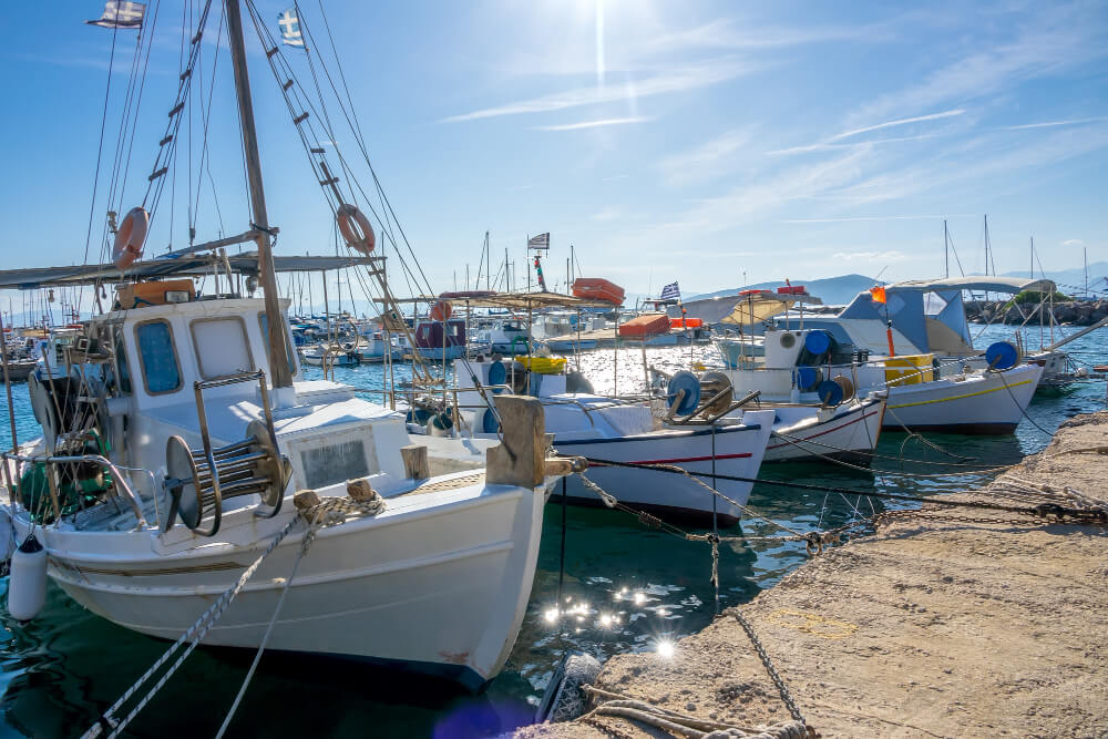 Fishing Industry Email Lists